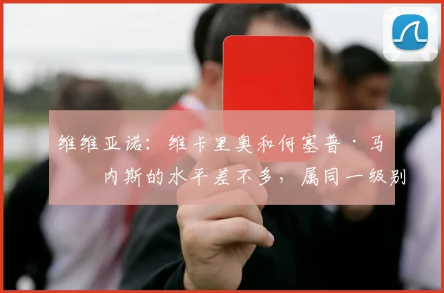 维维亚诺：维卡里奥和何塞普·马丁内斯的水平差不多，属同一级别