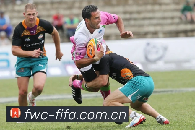 世界杯买球网站发展历程